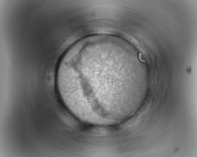 X0000102390299200808151927