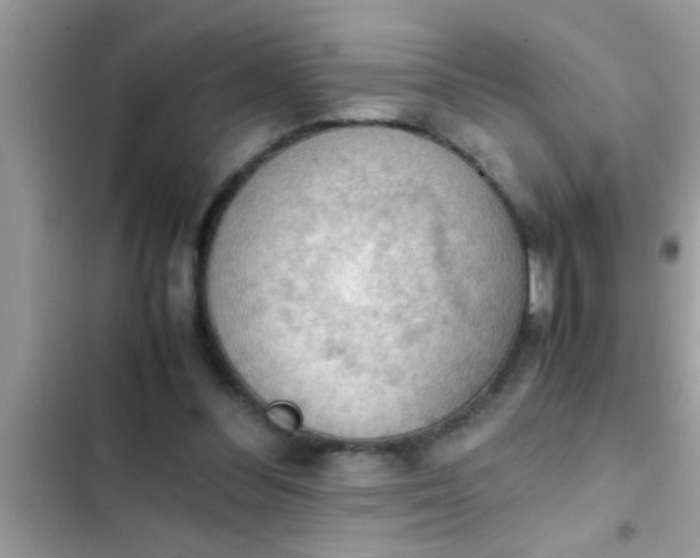 X0000102390300200808151927