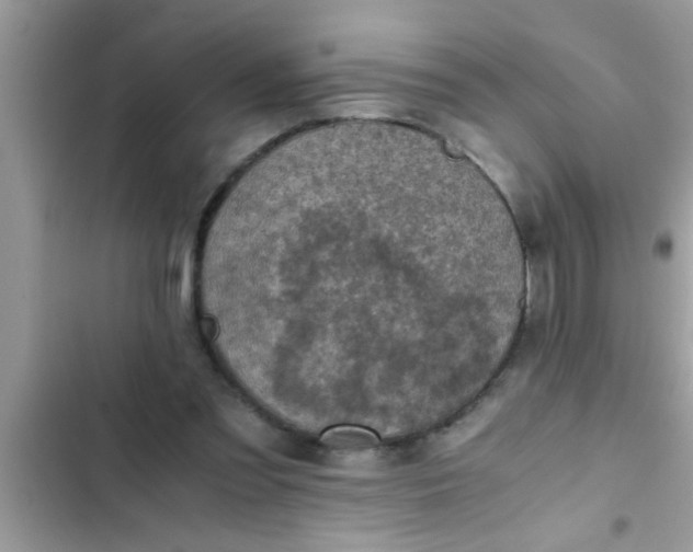 X0000102390301200808151927