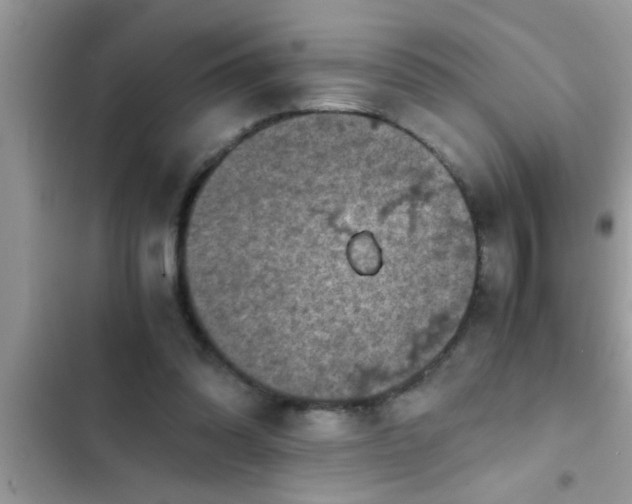 X0000102390302200808151927