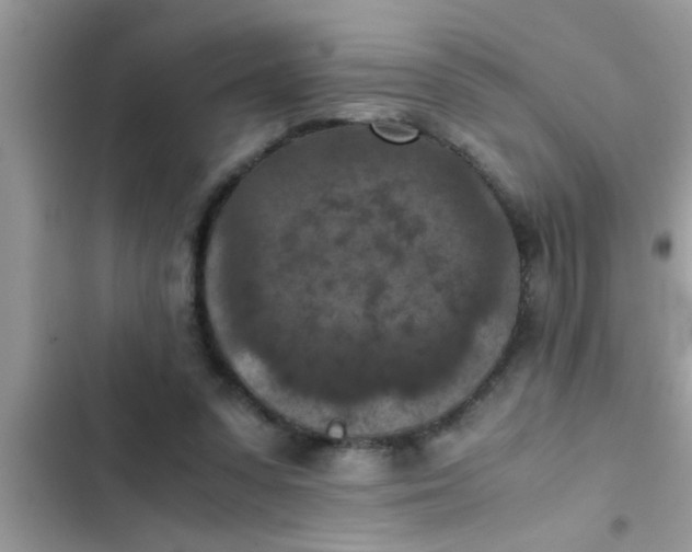 X0000102390303200808151927