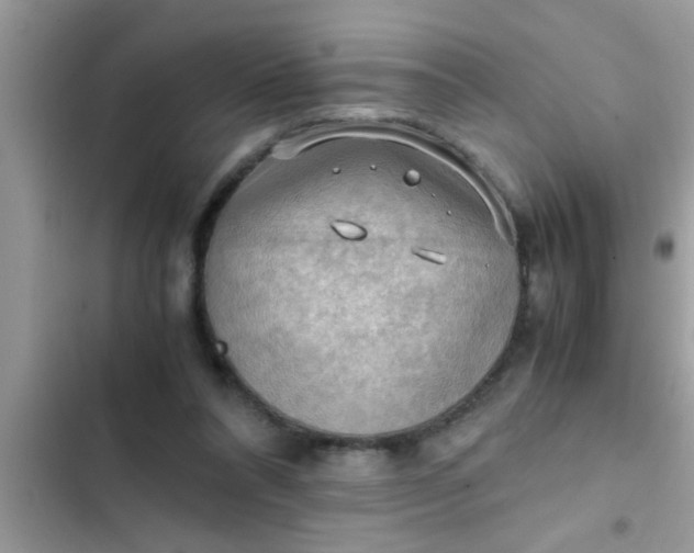 X0000102390304200808151927