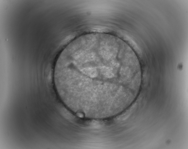 X0000102390305200808151927