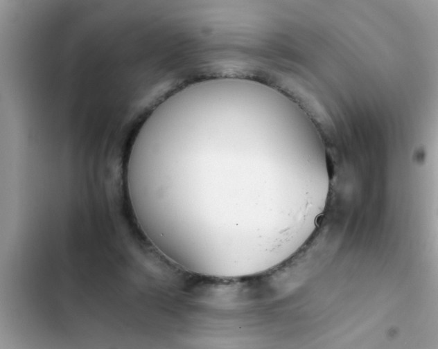 X0000102390306200808151927