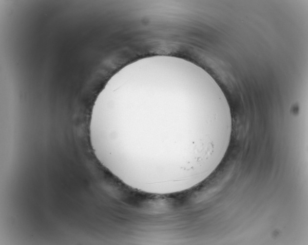 X0000102390307200808151927