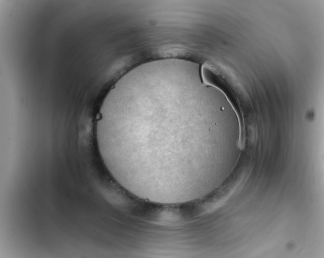 X0000102390308200808151927