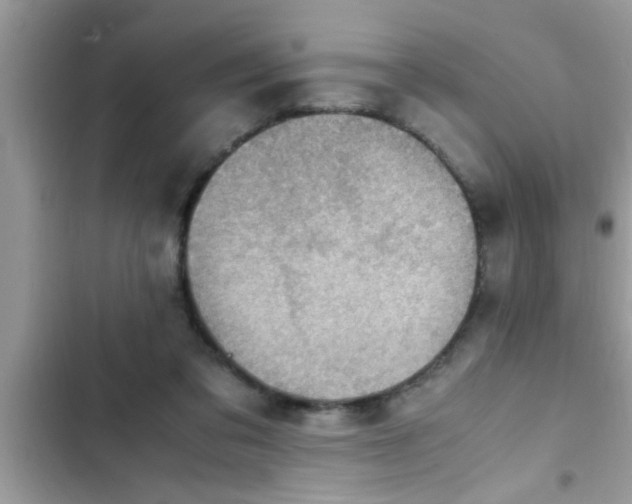 X0000102390309200808151927