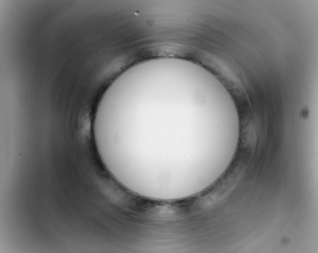 X0000102390310200808151927