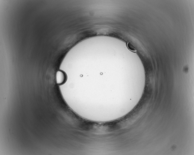 X0000102390311200808151927