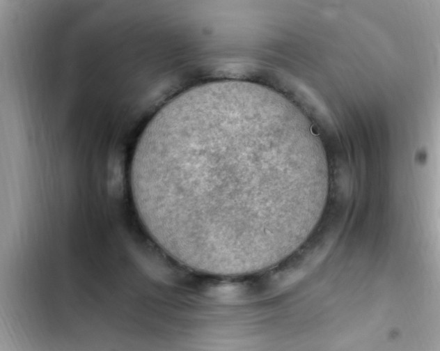 X0000102390312200808151927