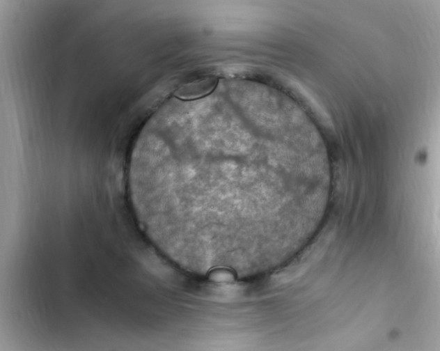 X0000102390313200808151926