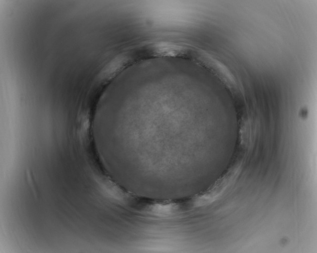 X0000102390314200808151926