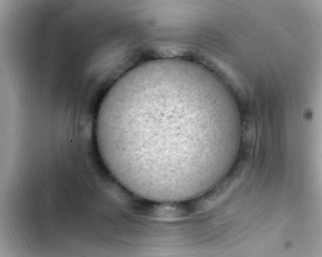 X0000102390315200808151926