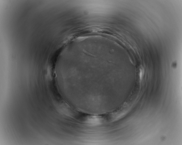 X0000102390316200808151926