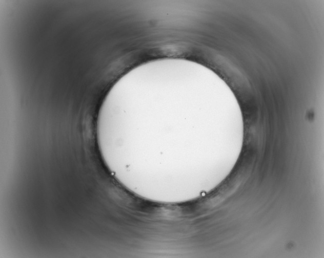 X0000102390317200808151926