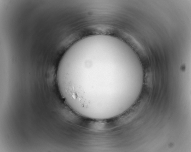 X0000102390318200808151926