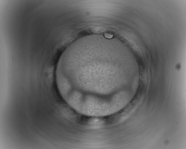 X0000102390319200808151926