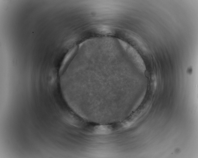 X0000102390320200808151926