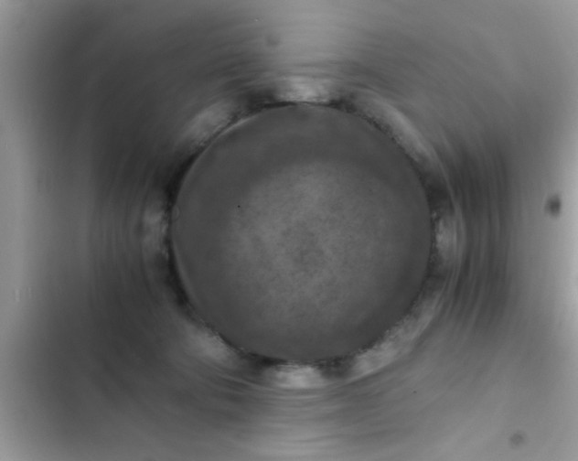 X0000102390322200808151926