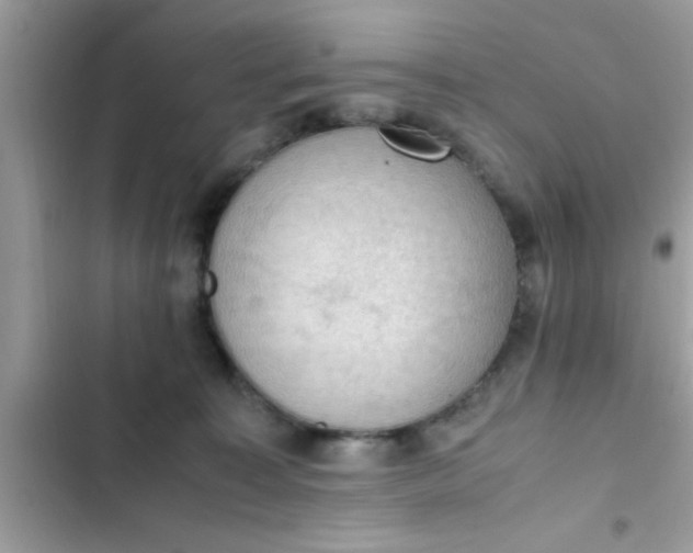 X0000102390323200808151926