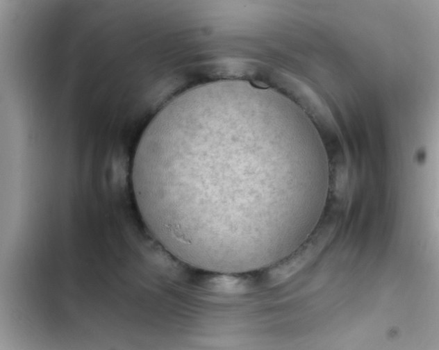 X0000102390326200808151926