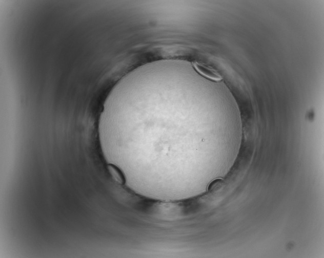 X0000102390327200808151926