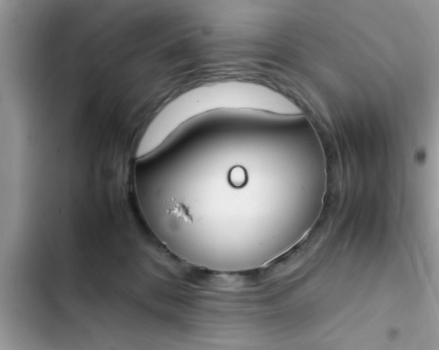 X0000102390328200808151926