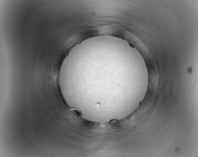 X0000102390329200808151926