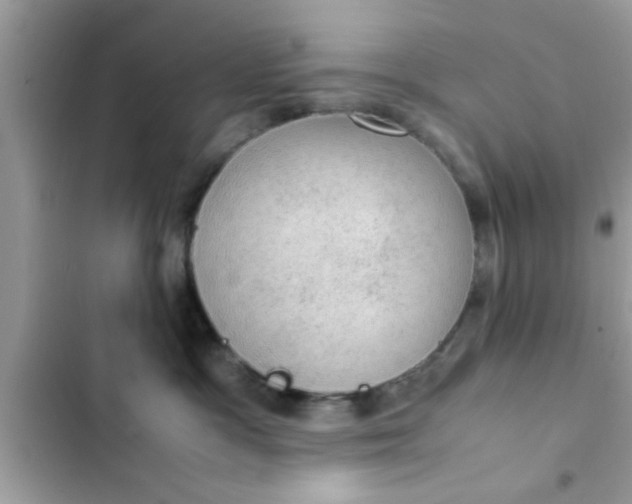 X0000102390333200808151926