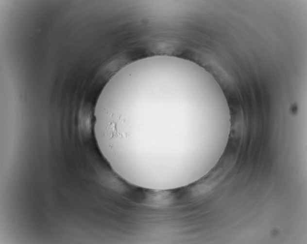 X0000102390334200808151926