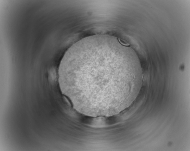 X0000102390335200808151926