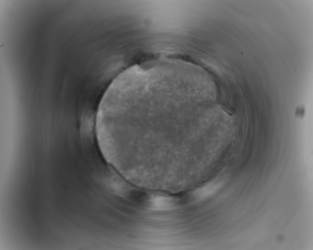 X0000102390336200808151926