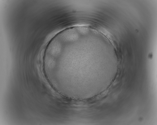 X0000102390337200808151925