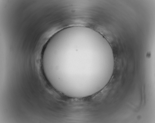 X0000102390338200808151925