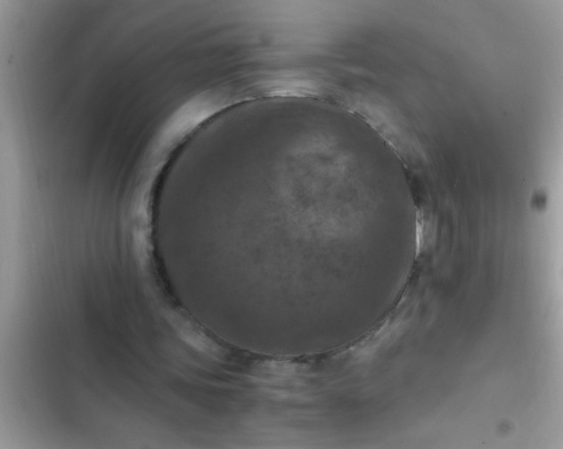 X0000102390339200808151925