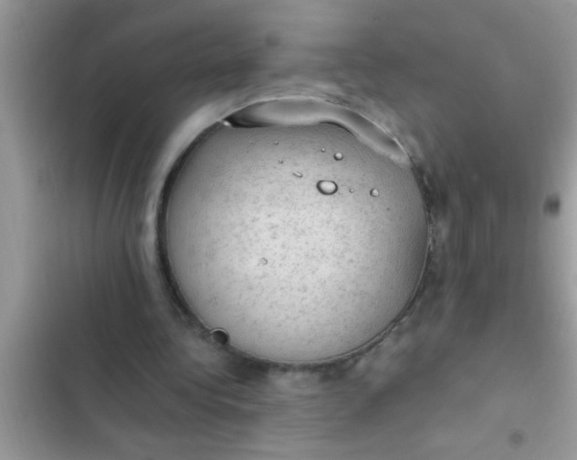 X0000102390340200808151926