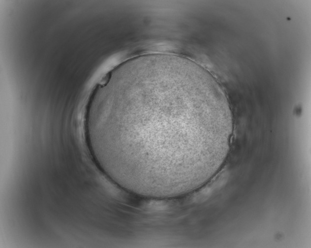 X0000102390341200808151926