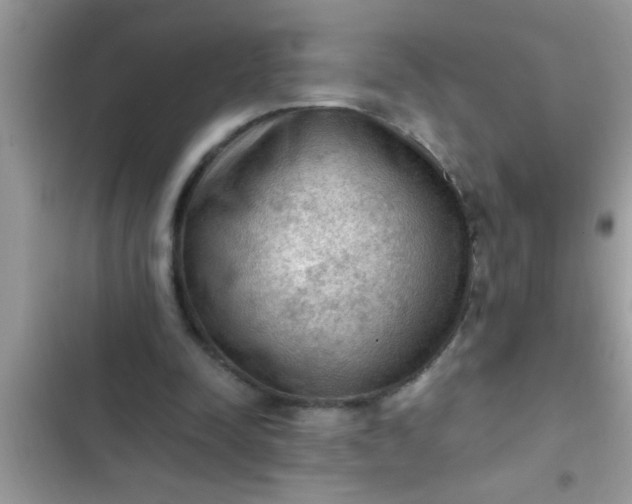 X0000102390342200808151926