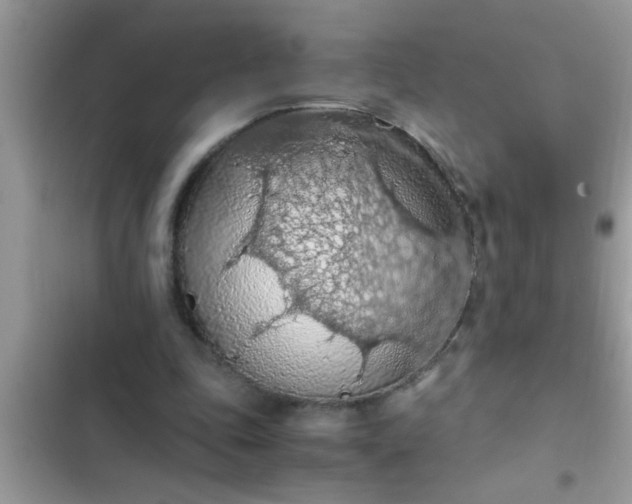 X0000102390343200808151926