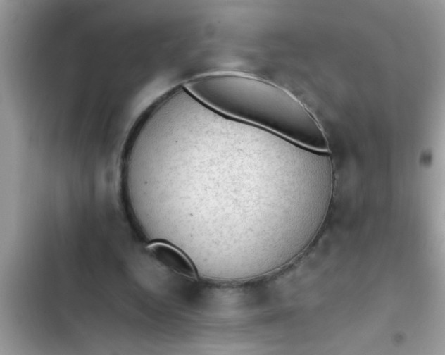 X0000102390344200808151926