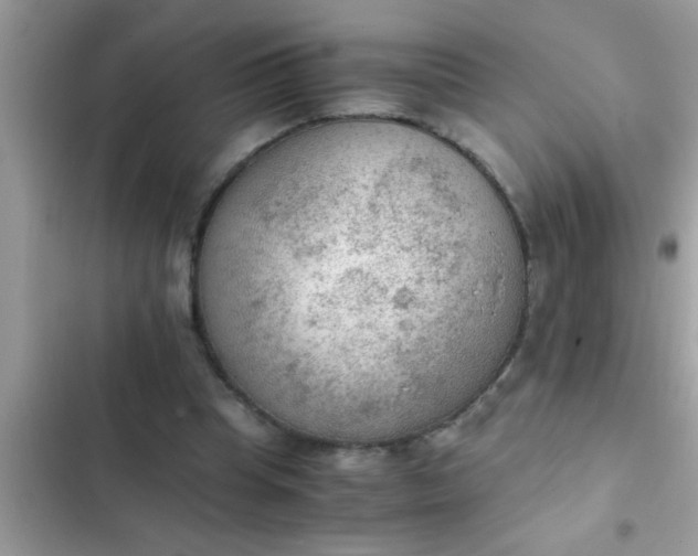 X0000102390345200808151926