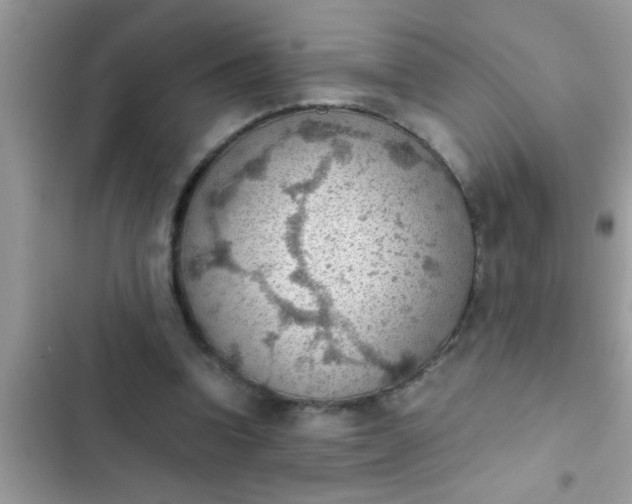 X0000102390346200808151926