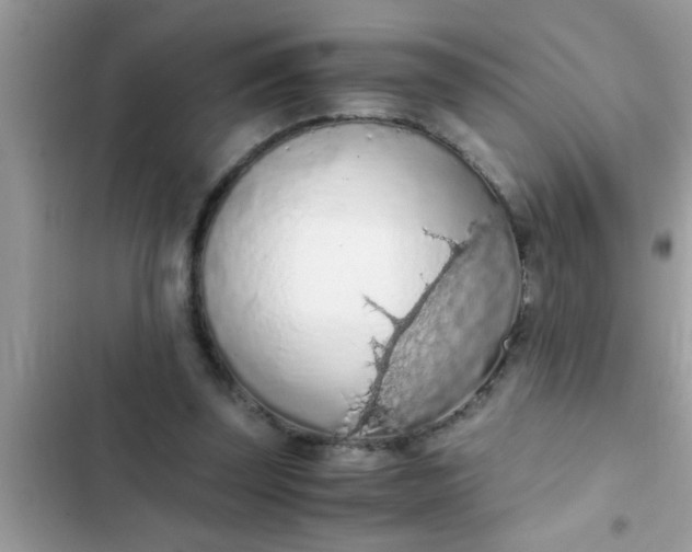 X0000102390347200808151926