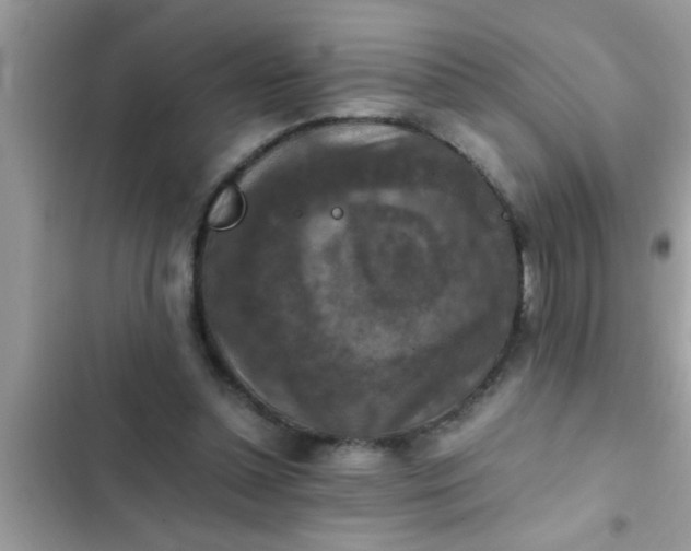 X0000102390348200808151926