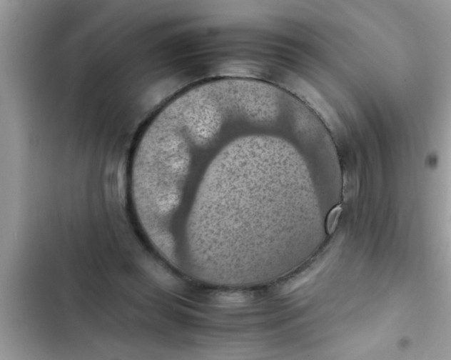 X0000102390349200808151926