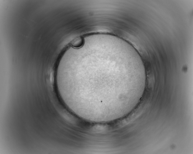 X0000102390350200808151926