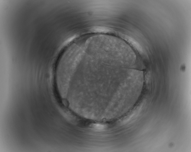 X0000102390352200808151926