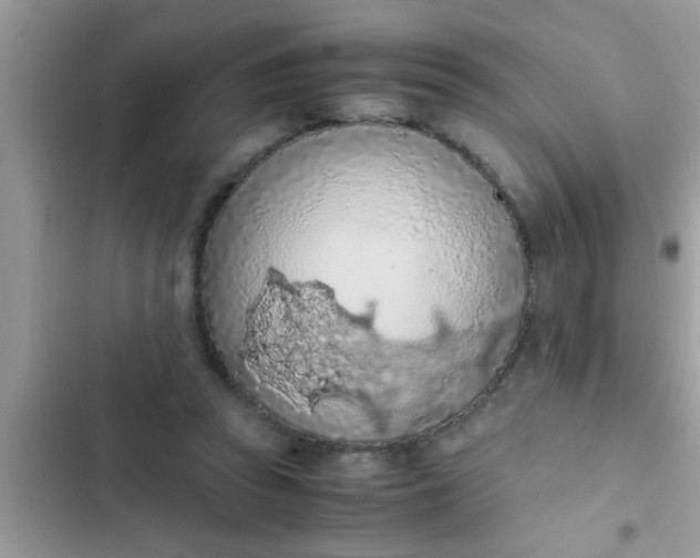 X0000102390353200808151926