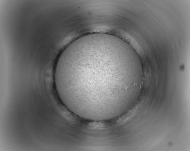 X0000102390354200808151926