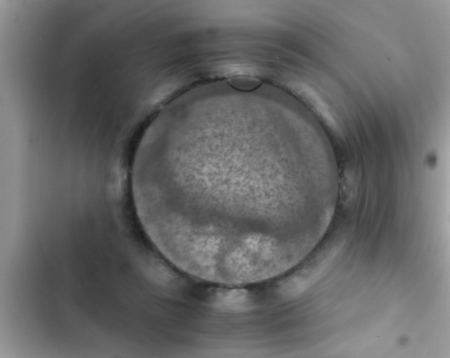 X0000102390355200808151926